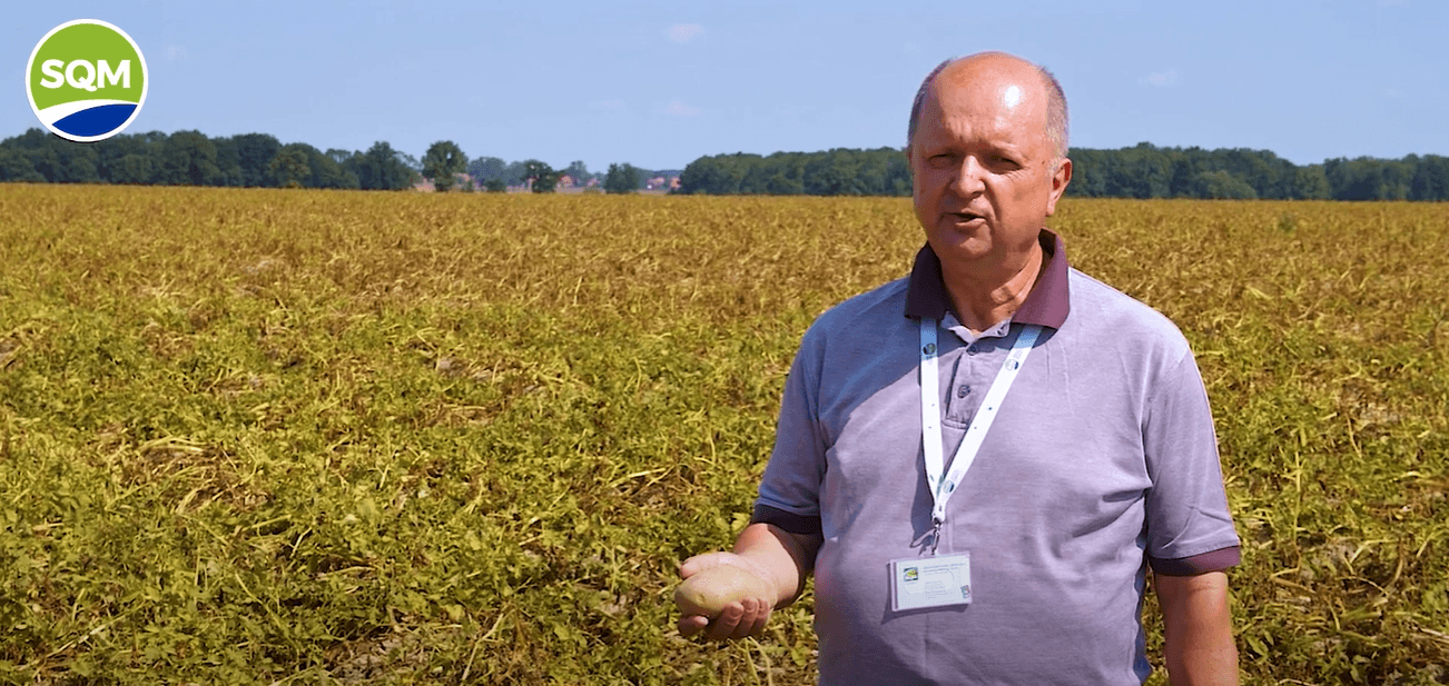 Captura de pantalla 2025-07-15 164232