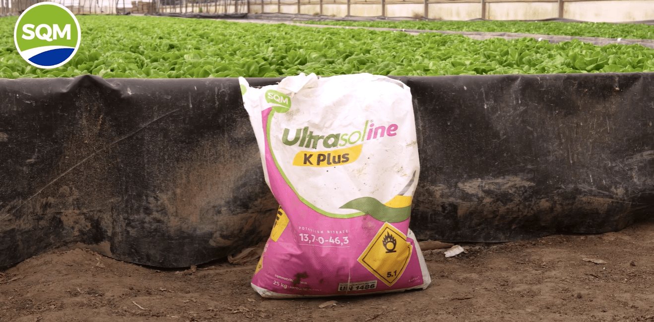 Captura de pantalla 2025-07-15 173535