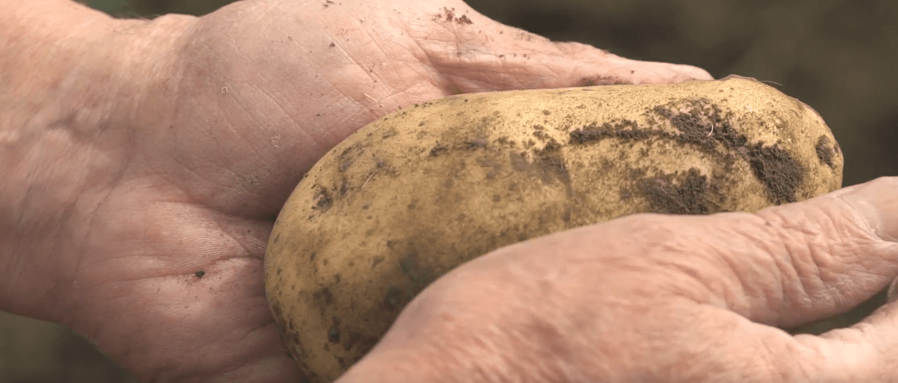 Captura de pantalla 2025-07-29 110622