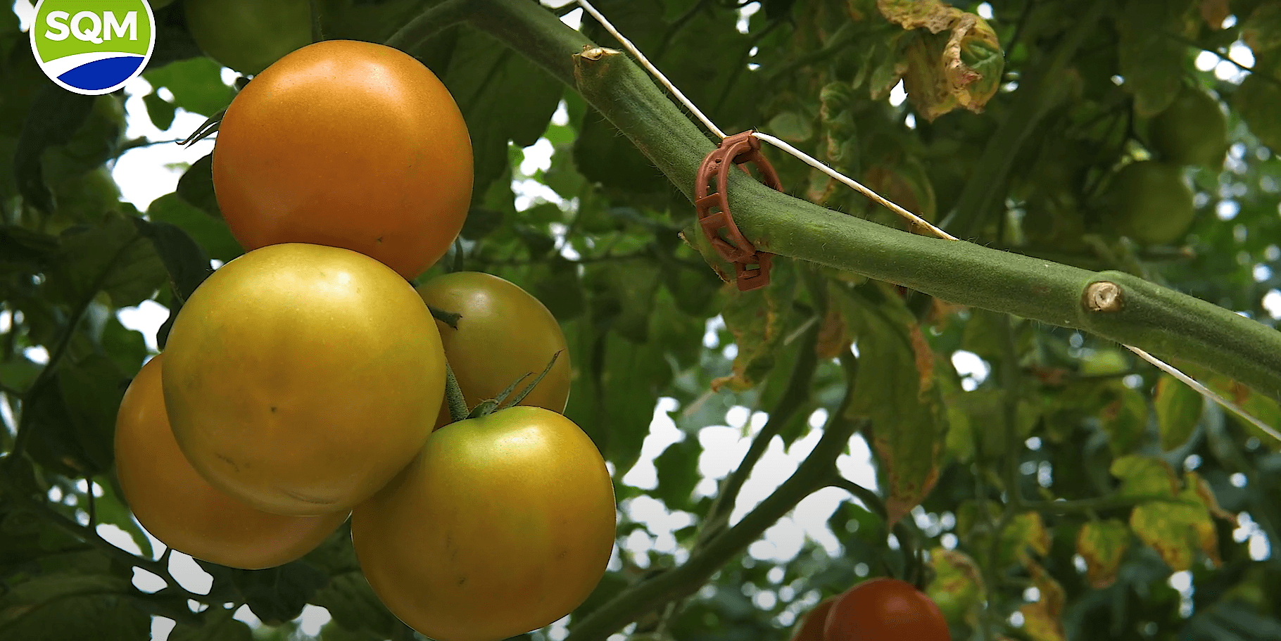 Captura de pantalla 2025-08-01 134555