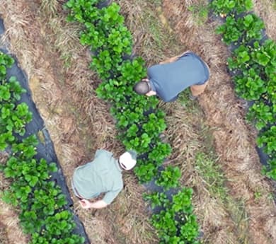 Agricultura-Sostenible-Desktop