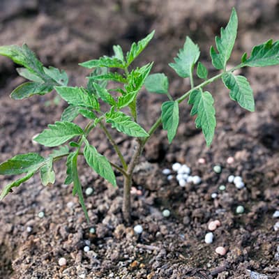 conocenos-01-400×400