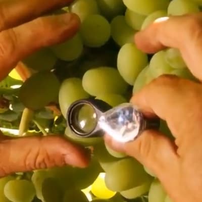 conocenos-02-400×400