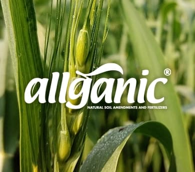 Allganic-Desktop