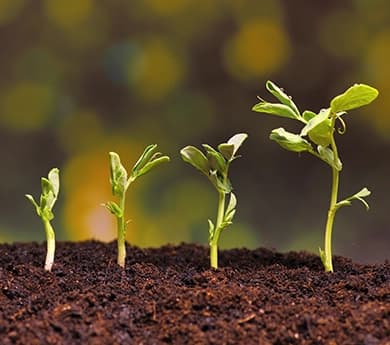 Mezclas-por-Etapas-Desktop