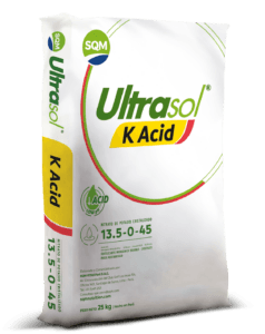 3117-Saco-25kg-CORP-Ultrasol-K-Acid-2-Placas-Fondo-Izq-PE-3D