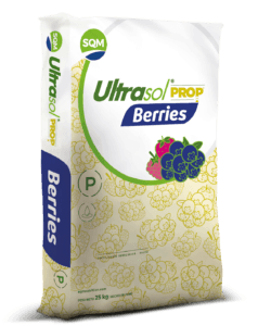 Saco-25kg-CORP-Ultrasol-PROP-Berries-PE-3D-1