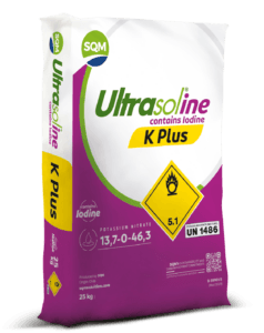 Ultrasoline-K-Plus-25kg-EU