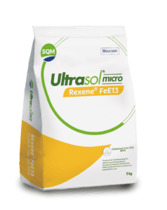 ultrasol-micro-rexene-fee13-zaf-5kg-saco-3d