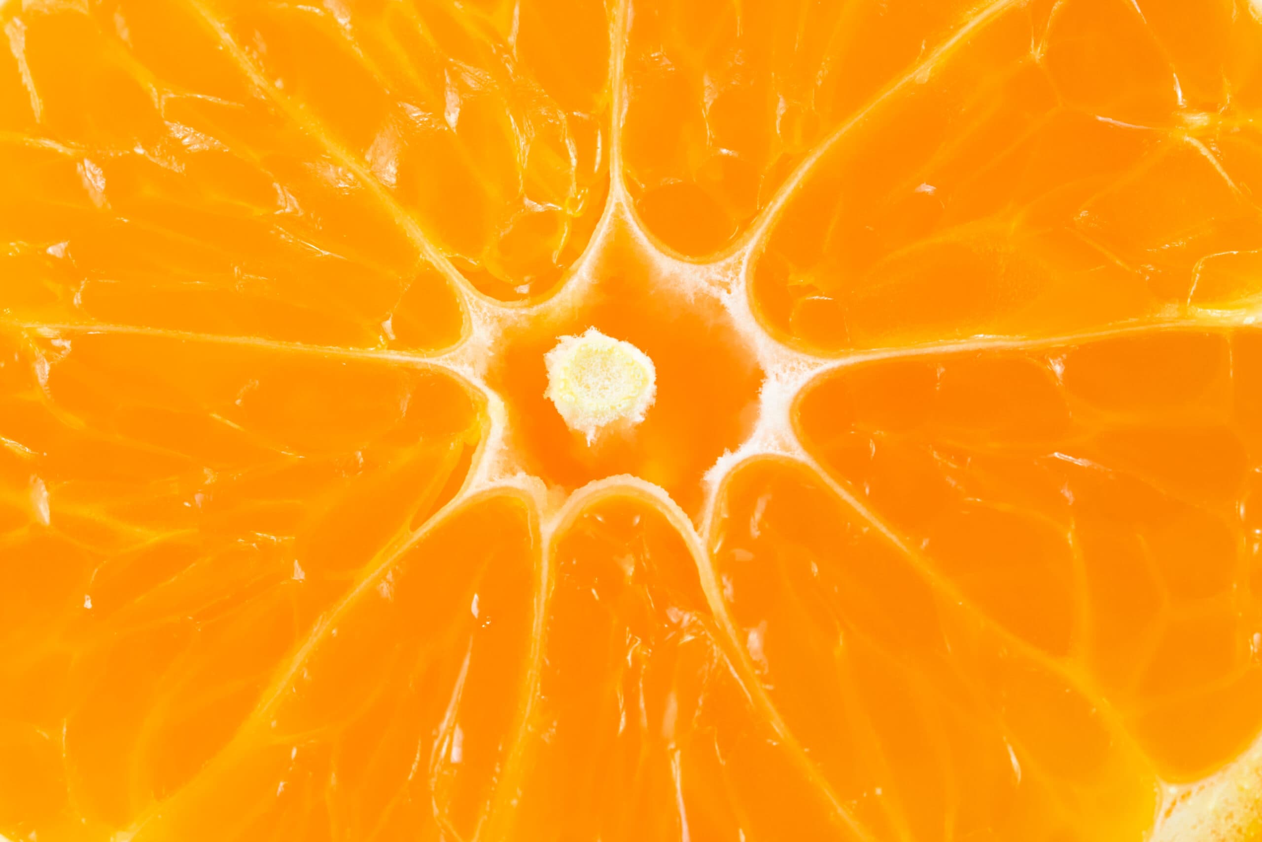 naranja orange_385591606