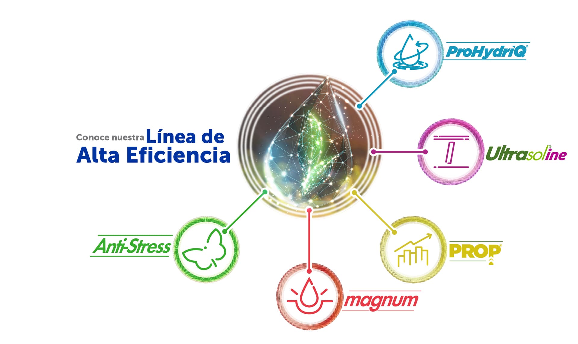 imagen landing page alta eficiencia (3)