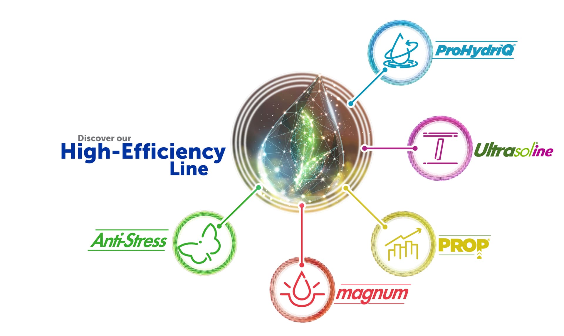 imagen-landing-page-alta-eficiencia-EN