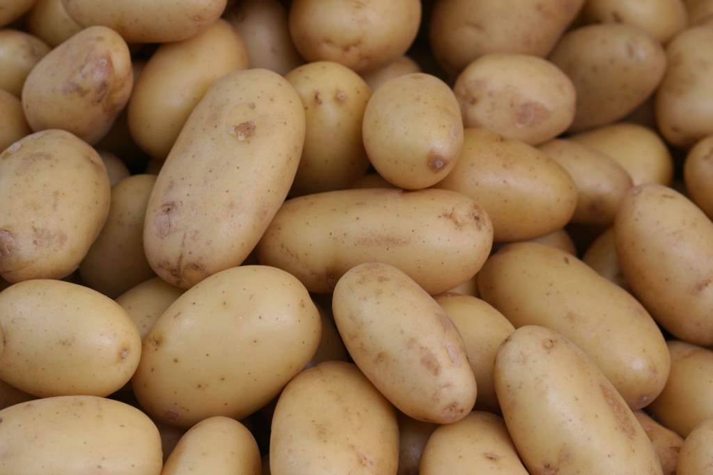 Lebanese potatoes: better tuber, better gastronomy