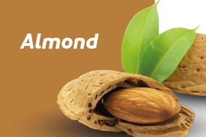 Get to know almond