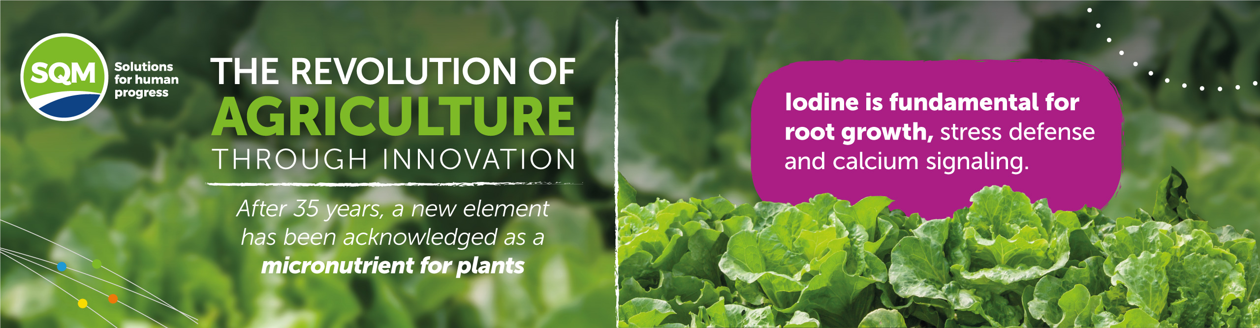 The revolution of agriculture through innovation