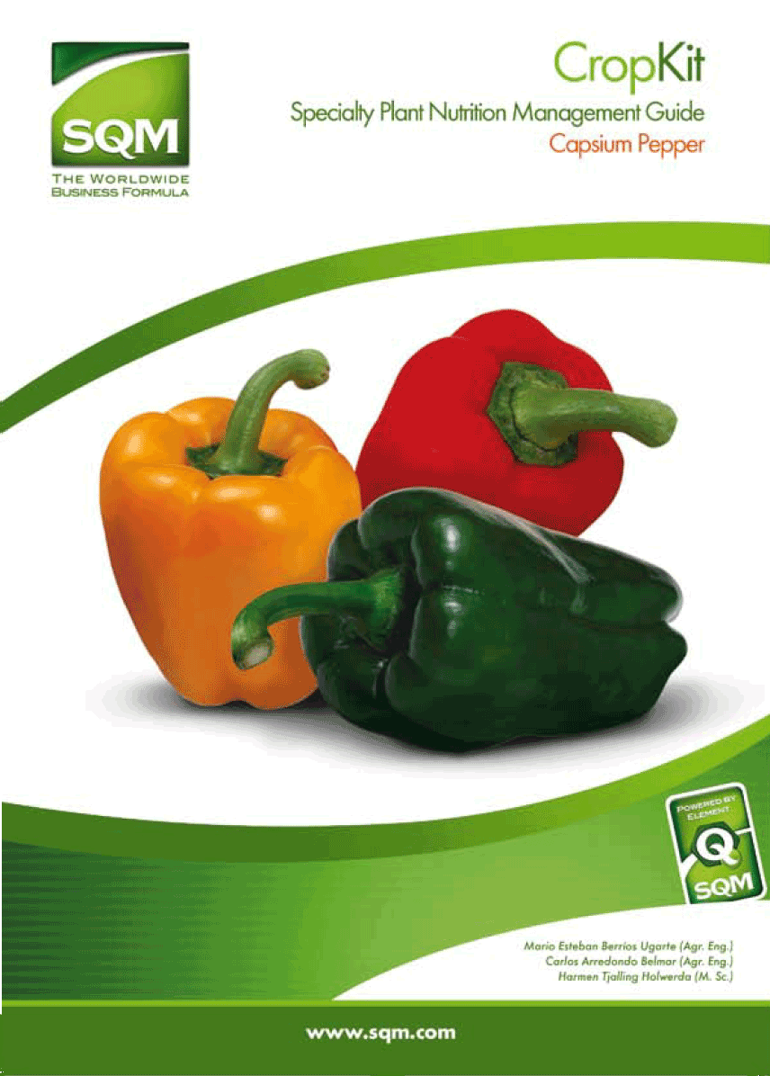 Crop Kit Capsicum Pepper