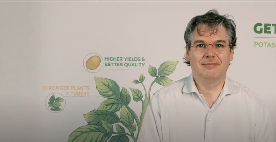 Nutritional considerations for high yield and quality in Potato