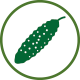 cucumber-en