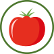 tomate-pt