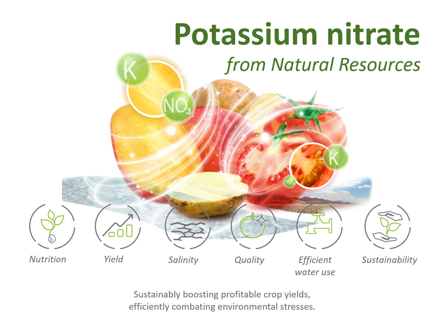 periodic-table-of-elements-potassium-nitrate-brokeasshome