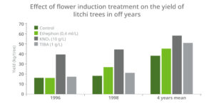 Flowering induction with potassium nitrate in litchi in India