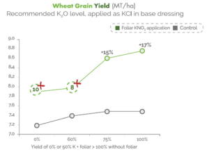 Foliar use of KNO3: Increased yield and shelf life for our crops