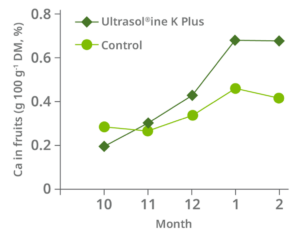Ultrasol®ine K Plus (Potassium Nitrate with Iodine) for improved fruit quality and more calcium and anti-oxidants in fruits of cherry tomatoes