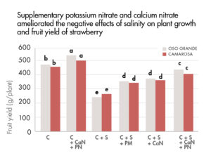 Potassium nitrate and calcium nitrate ameliorated the negative effects of salinity of strawberry