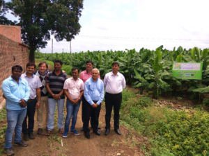 Dos fórmulas Ultrasol® Banana fueron bien recibidas por los agricultores en India tras demostrar un impacto positivo en rendimiento e ingresos
