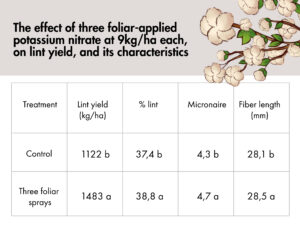 Foliar potassium nitrate application increased cotton yield and quality parameters