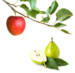 Foliar application of potassium nitrate increased brix in apples and pears