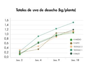 Aplicaciones con potasio en uva de mesa mejoraron calidad de fruta e ingresos netos en un 80% en México