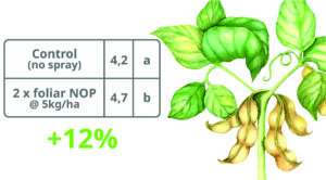 Increased soybean yields with foliar applications of potassium nitrate based sprays