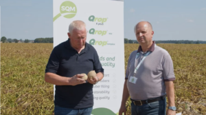 A trial in Poland shows higher yield and less storage weight loss with Qrop® in processing potatoes