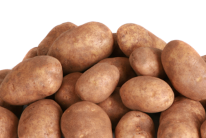 Potasio y patatas: maximice la acumulación de materia seca (DMA) con nitrato de potasio