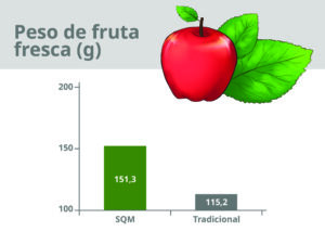 Ultrasol® Manzana aumenta la producción en un 31% y mejora la calidad de la fruta