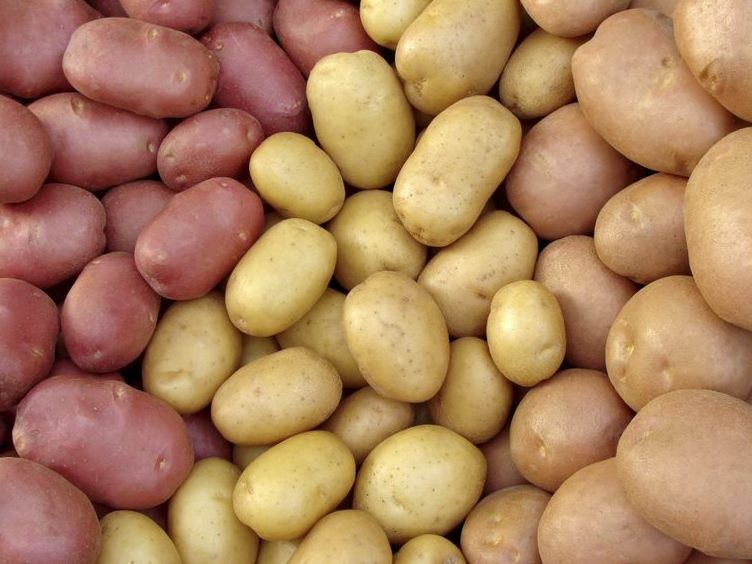 Successful cases, Potatoes – Poland