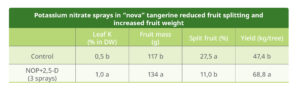 Potassium nitrate sprays in “Nova” tangerine reduced fruit splitting and increased fruit weight