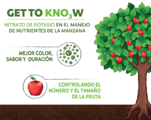 Get to know: nitrato de potasio en el manejo de nutrientes de la manzana