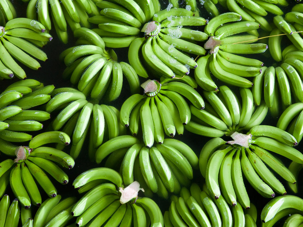 SPN Successful cases, Banana – Ecuador