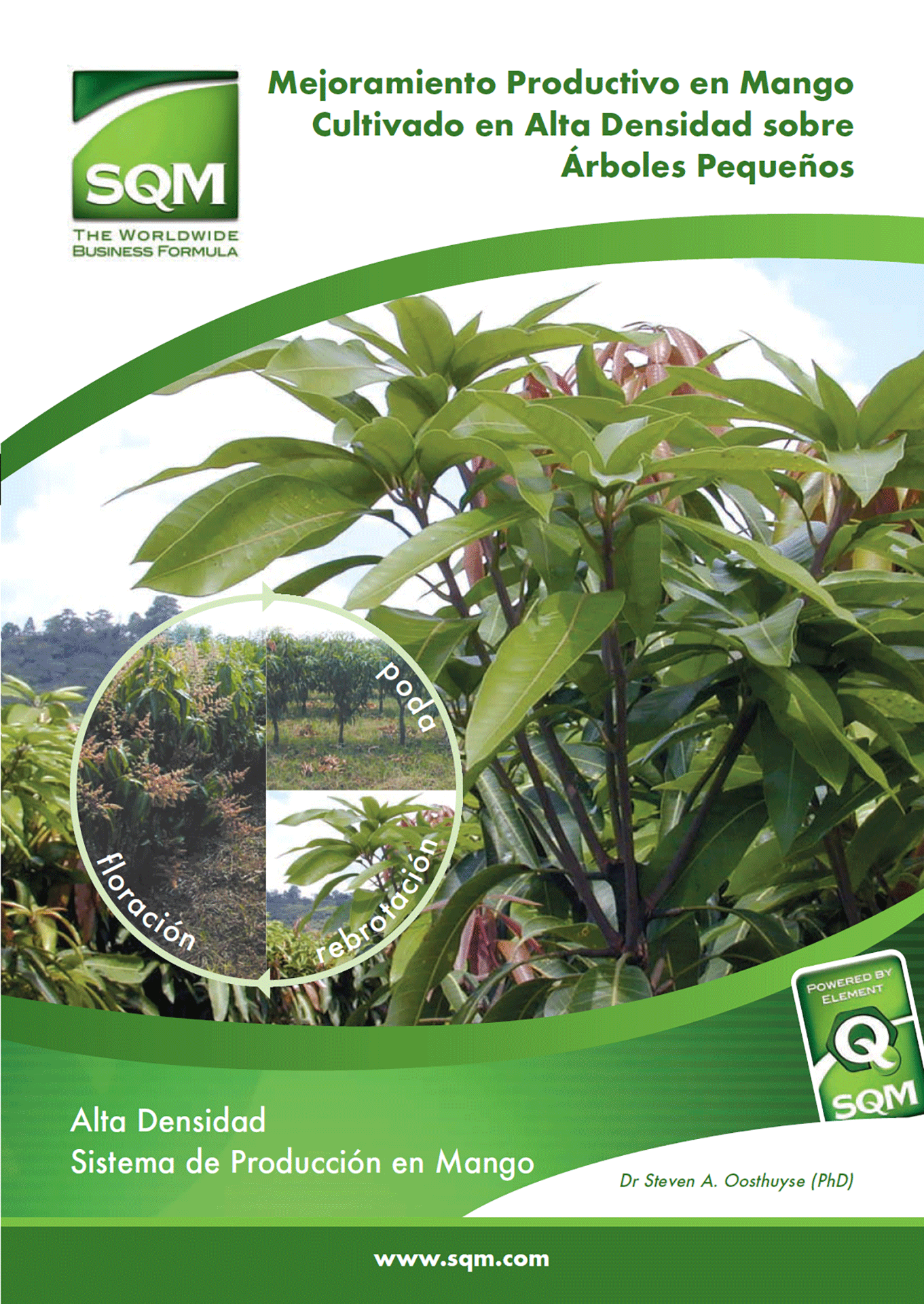 Manual para mejoramiento productivo en mango cultivado en alta densidad