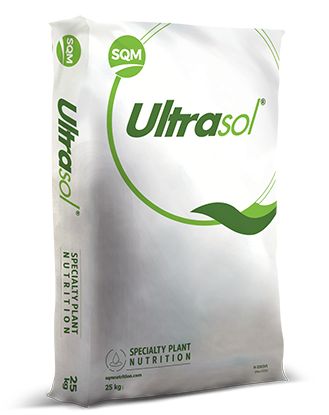 Ultrasol Strawberry Soil
