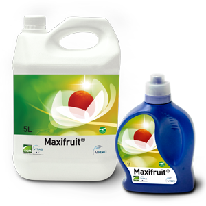 Maxifruit®