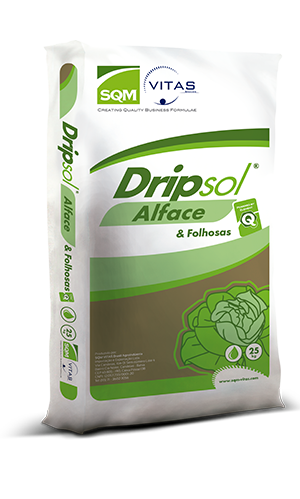 Dripsol® Alface