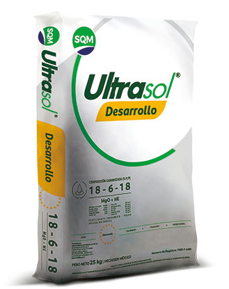 Ultrasol Desarrollo – Ecuador