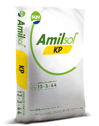 Amilsol KP – Colombia