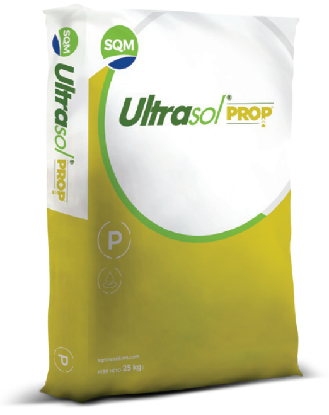 Ultrasol ProP 13-2-13 Seeding Plus