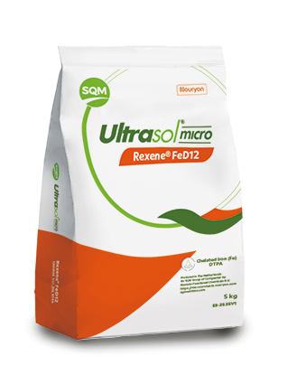Ultrasol® micro Rexene® FeD12