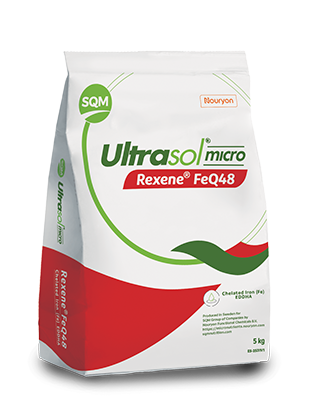 Ultrasol® micro Rexene® FeQ48