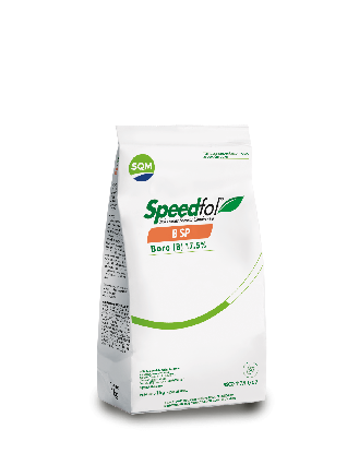 Speedfol B SP – México